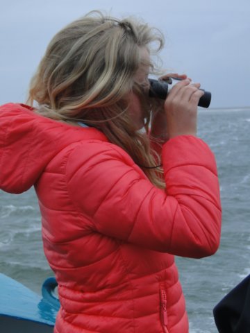 HWK Texel 233.jpg